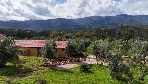 Quinta-lina de serpins - Foto 2