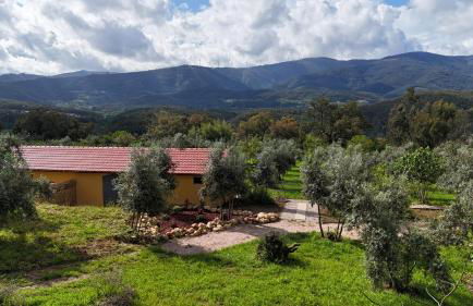 Quinta-lina de serpins - Foto 1