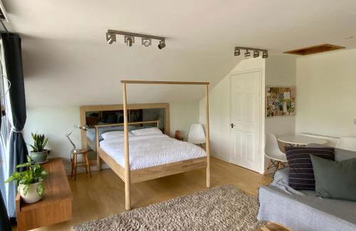 Little Chi - Photo 22