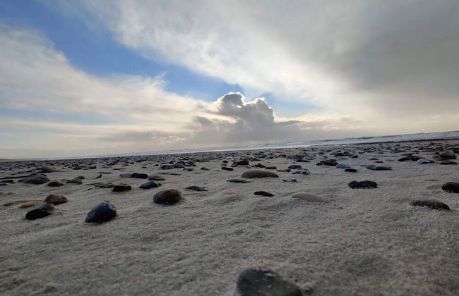 Luxury Retreat by Heathland-by Traum - Photo 25