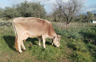 LA CROISETTE Agriturismo - Farmhouse - Foto 38