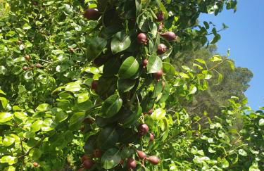Casa Rural Casa Puntes - Photo 16
