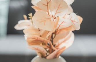 Charmante Hotelwohnung nahe Pforzheim, ruhige Lage - Foto 19