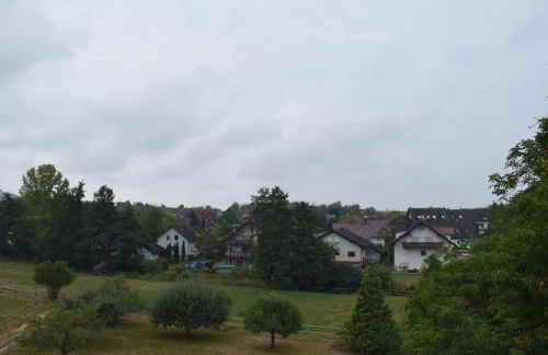 Sauers Schwarzwaldglück - Foto 11