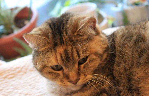 Gites le Pimayon - Foto 76