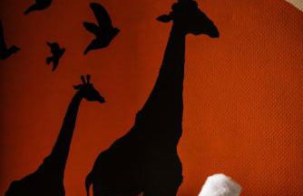 Family Home in Lille, Garden and Parking - 6/8p - Foto 28