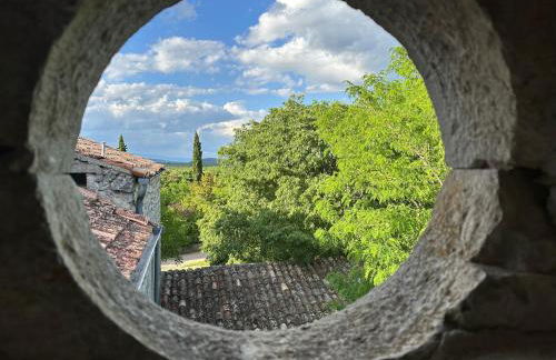 Mas Ardéchois de caractère - Photo 15