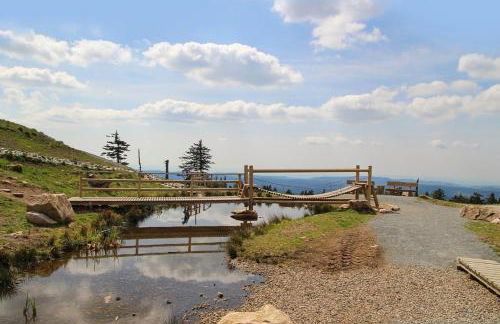Ferienhaus Nr 32, Typ A, Ferienanlage Blauvogel, Hasselfelde, Harz - Foto 34