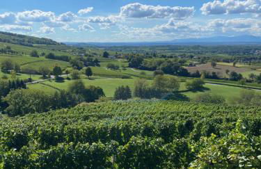 Ferienwohnung Vogesenblick - Foto 12