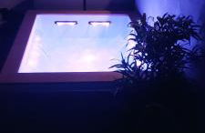 Le Allegre Comari di Ossuccio - Foto 47