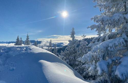 Trollenhof im Allgäu - Ferienwohnungen Säuling - Foto 51
