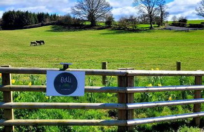 Odli Glamping - Deri - Photo 18