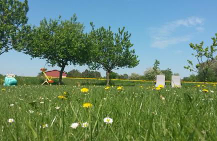 Panorama Ferienwohnungen Thiem - Foto 11
