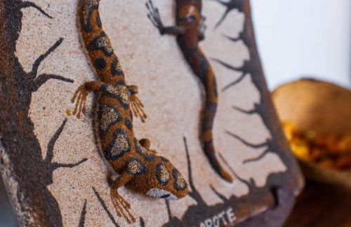 Villa Cactus Piscina Climatizada - Foto 4