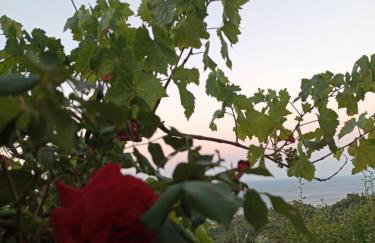 Μπαλκόνι του Αιγαίου father's house in Kimi - Photo 59