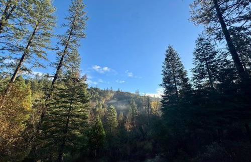 Your Spacious Escape: Creek, Pool, Sauna, Hot Tub - Foto 49