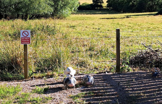 The Posh Bothy Spean Bridge - Foto 25