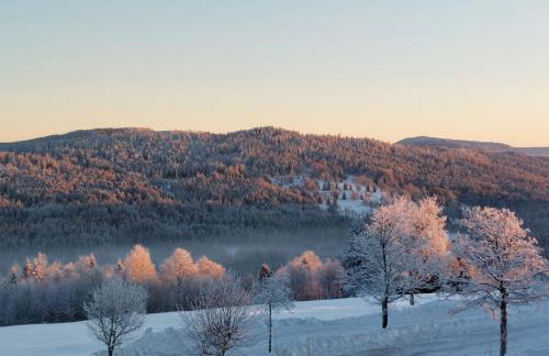 Apartment Almberg - Foto 24