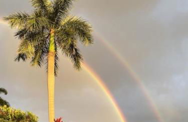 Newly Renovated Condo with SUP Paddle Boards and Golf Clubs Included - Foto 57