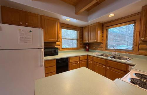 Talkeetna Log Cabin with Hot Tub Unit 1 - Foto 9