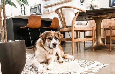 Lamar Treehouse - Photo 13