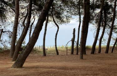 Alloggio Vista Mare - Parcheggio Gratis - Photo 26