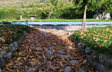 Complejo Rural Las Palomas - Foto 13