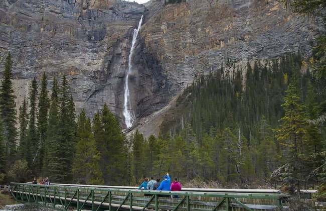 Excursión a un refugio de osos grizzly - Foto 4