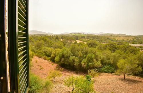 Finca Porto Cristo - Es Bosquet - Foto 51