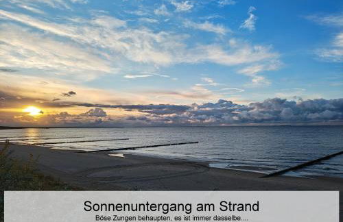 Ostsee-Urlaub-Zempin direkt am Küstenwald, nur wenige Minuten zum Strand, optimal für Paare mit 1 Hund bis 45 cm Schulterhöhe - Foto 34