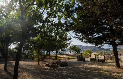 Albatros Apartments - Foto 61