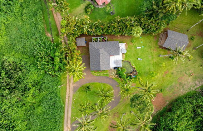 Coconut Hut 2 Bedroom Home by RedAwning - Foto 29