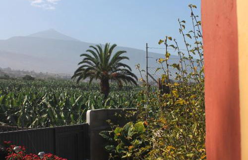 FINCA LA PLANTACIÓN _Agroturismo - Foto 22