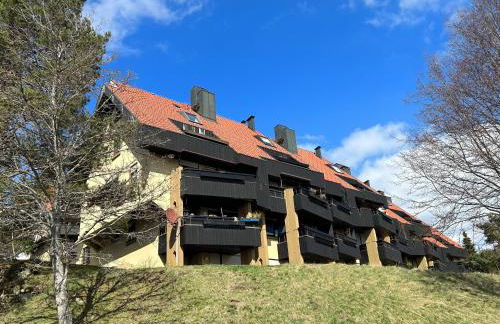 Apartment Fabelwald Black Forest - Foto 48