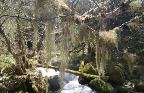 Casa Gelita - Foto 27