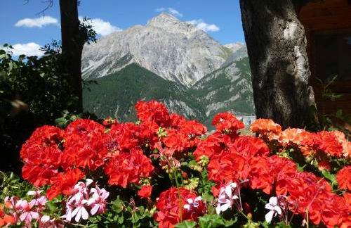 Agriturismo Barba Gust - Foto 35