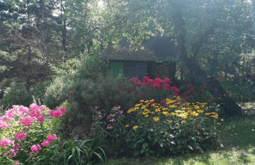 Dom pod strzecha - Foto 10