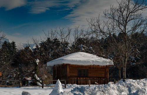 Ιξός Home - Photo 47