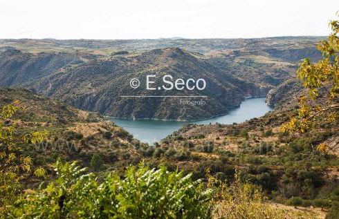 Antiguo Casino de los Arribes - Photo 73