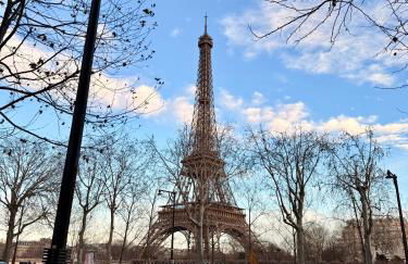 Devant la tour eiffel - Foto 11