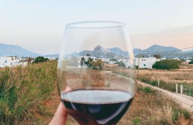 Luxury 3BR Sunrise Villa , Seaside Gyrismata - Photo 42