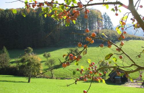 Alte Schmiede - Foto 6