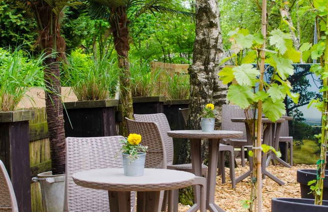 Comfort Sauna 4p in Uelsen - Foto 25