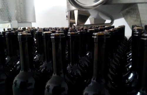 AGRITURISMO MASO PERTENER -adults friendly- - Foto 8