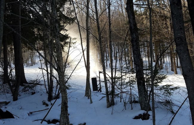 Ski in & out Spruce Glen Townhomes on Great Eastern Trail - Photo 19