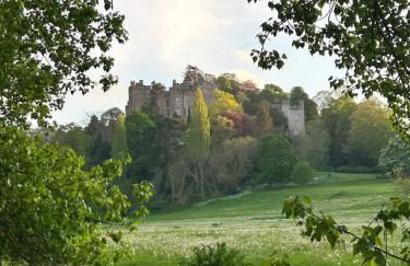 Beautiful Cottage Parking Central Dunster - Photo 31