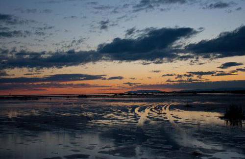 Apartamento Eucaliptus A - Delta del Ebro - Foto 21