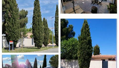 Maisonnette/Tiny House - Jardin privé - Foto 2