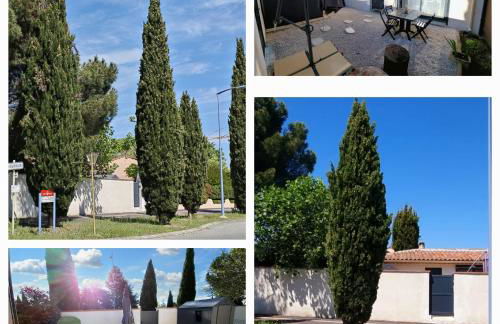 Maisonnette/Tiny House - Jardin privé - Foto 2