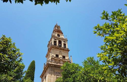 Apartamento San Pedro-Corredera - Foto 37